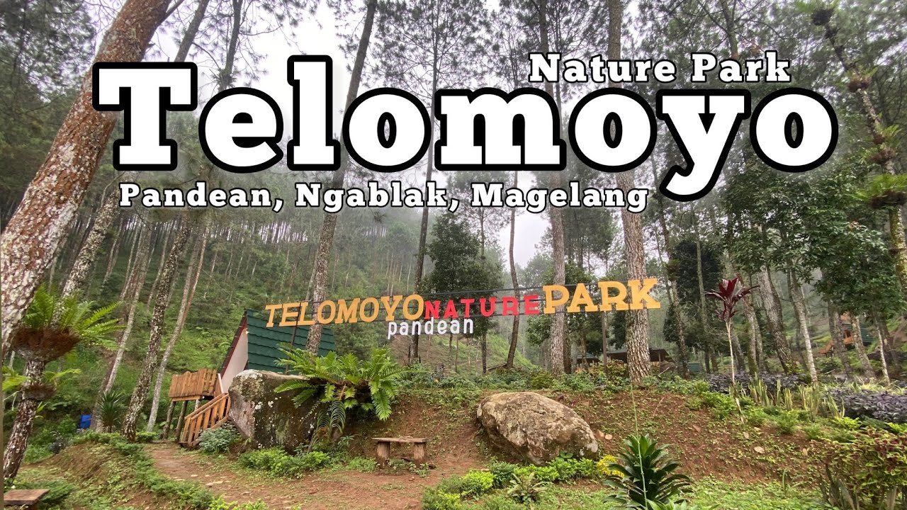 Telomoyo Nature Park: Menikmati Pesona Alam di Lereng Gunung Telomoyo